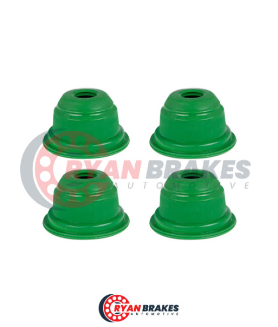 Brake Plunger Kit (Right – New Model)